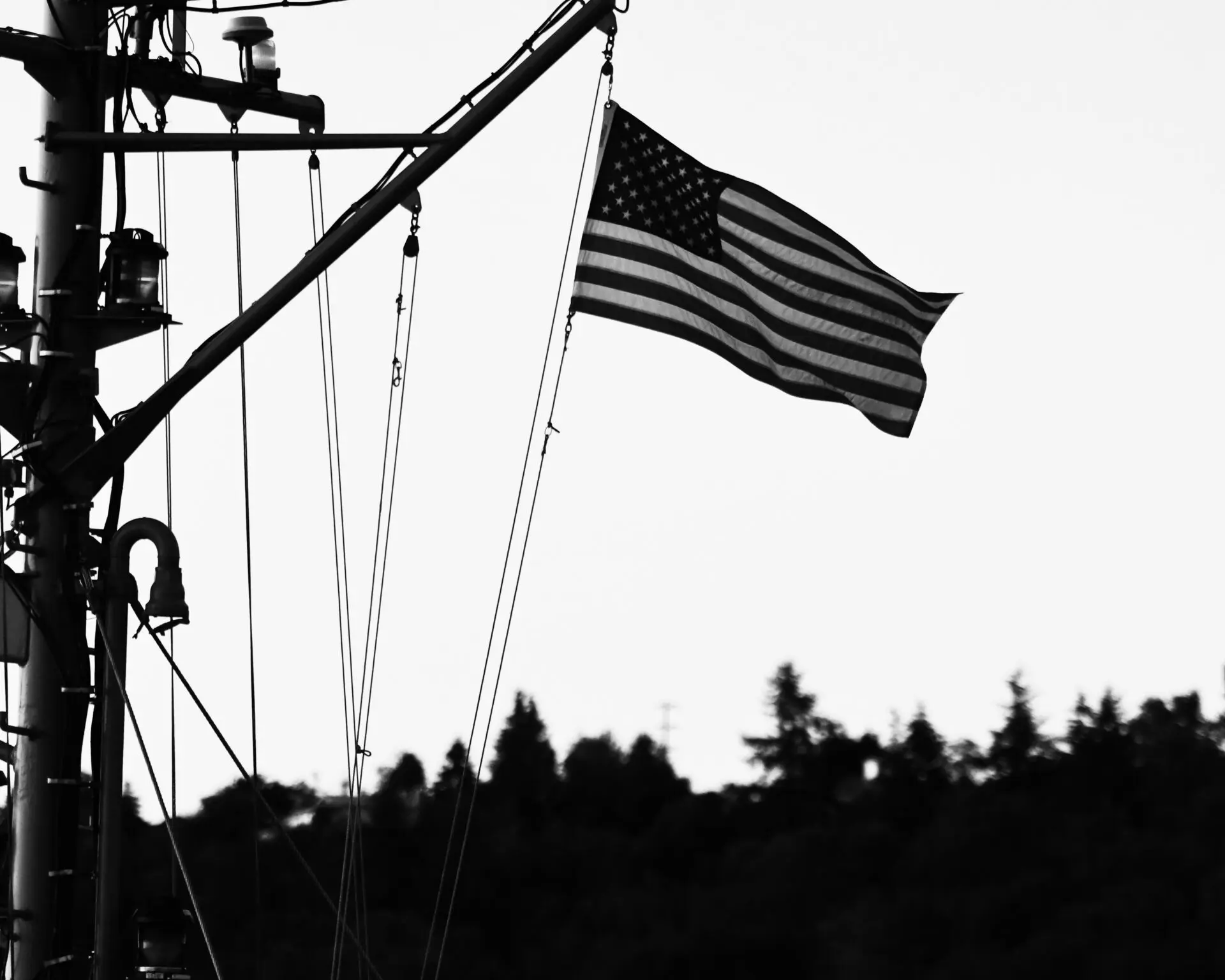va attorney columbus ga | american flag
